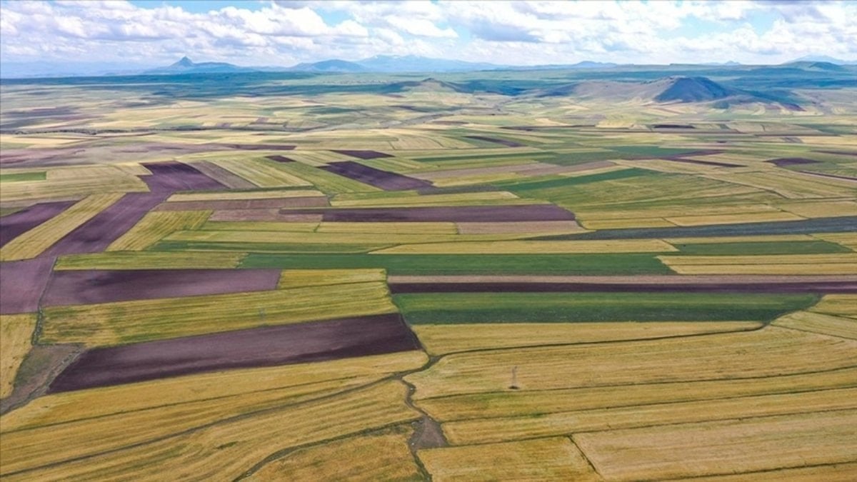 Tarla ve arsa satışı 2025’te 1,6 milyonu geçti