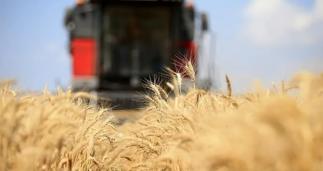 Tarımsal ürünlerin fiyatları ağustosta yükseldi